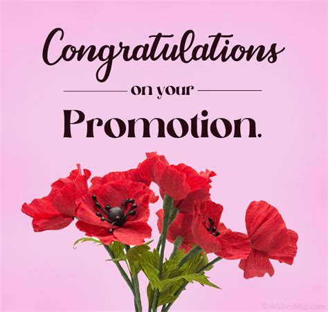 You cant combine select promotions andor credits. . The promotion you picked couldn39t be applied to your order